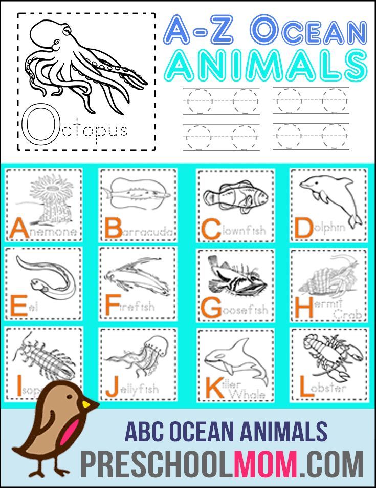 Ocean preschool printables ocean coloring pages ocean animals alphabet poster