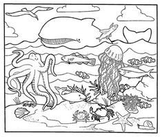 Sea animals coloring pages eas animal coloring pages coloring pages sea animals