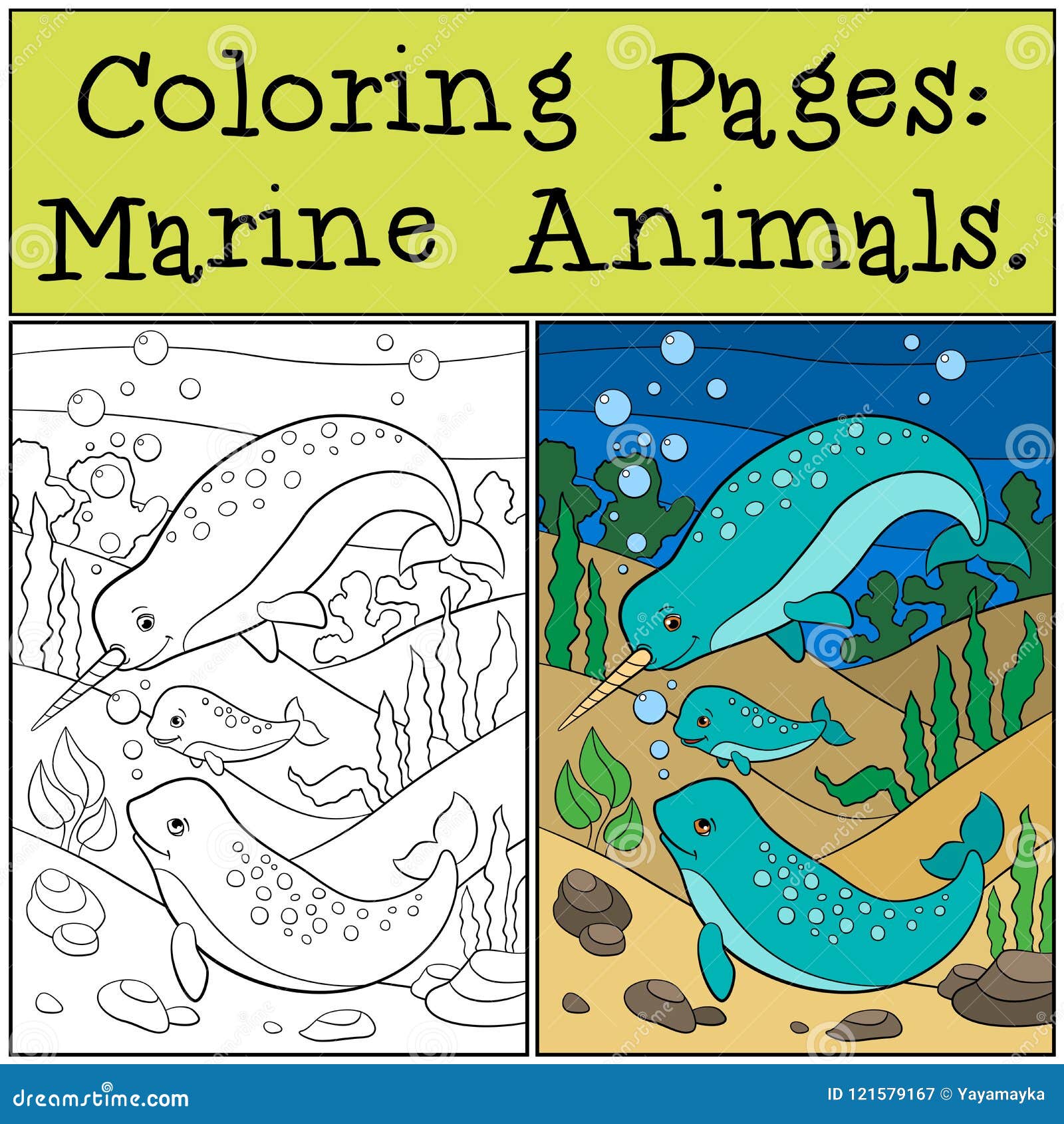 Coloring pages marine animals mother father and baby narwhals stock vector