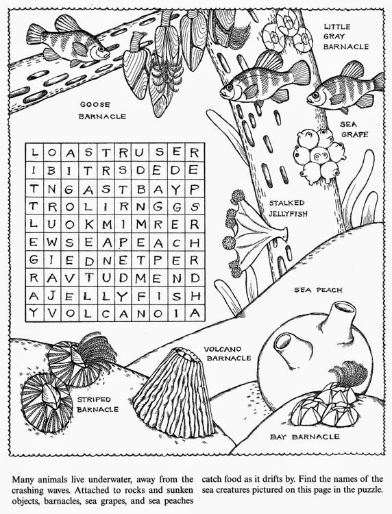 Waco mom ocean printables coloring pages pattern coloring pages animal activities