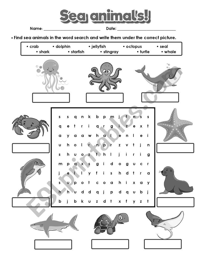 Sea animals word search