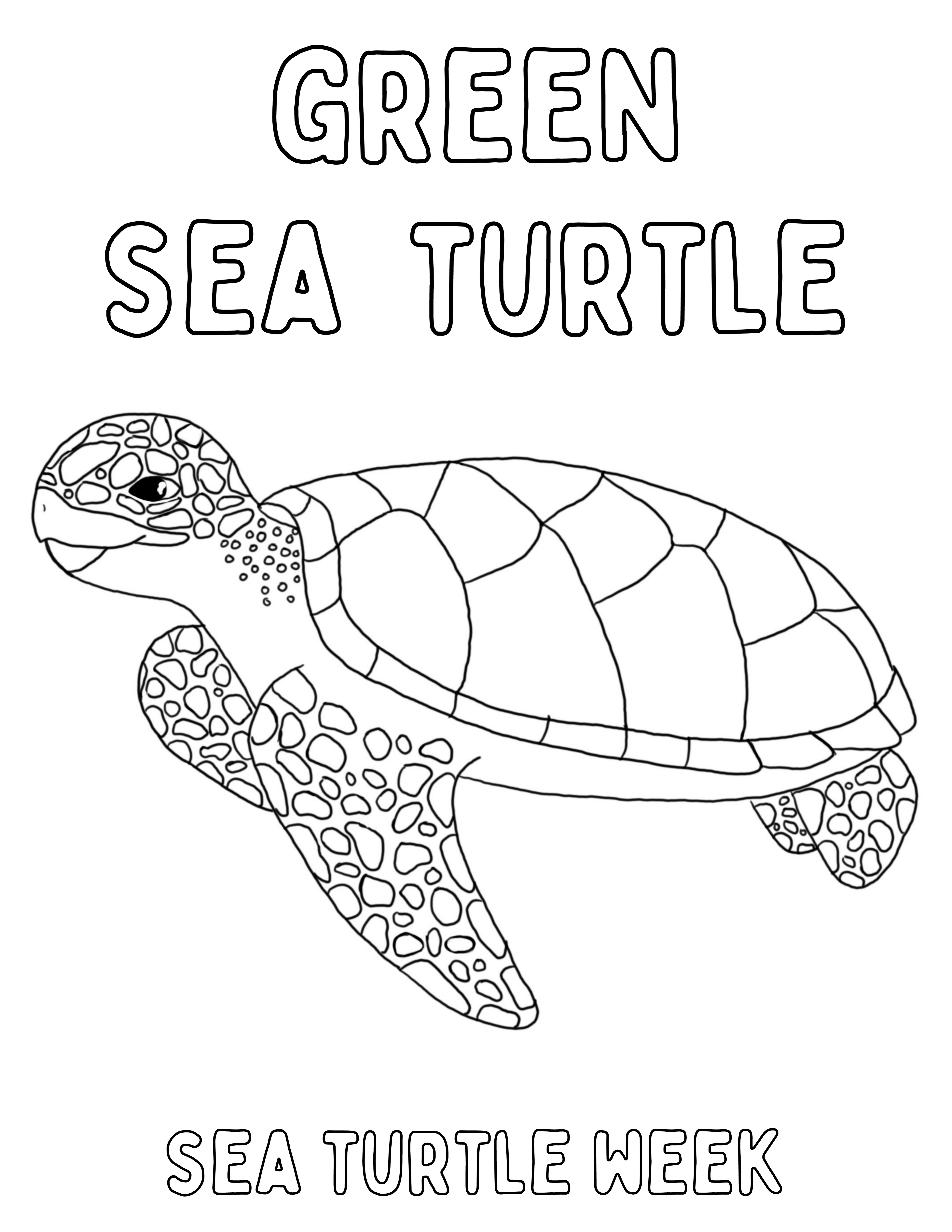 Coloring sheets â