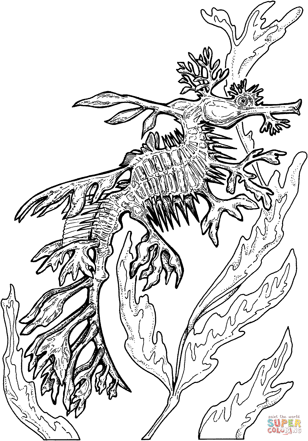 Leafy seadragon coloring page free printable coloring pages