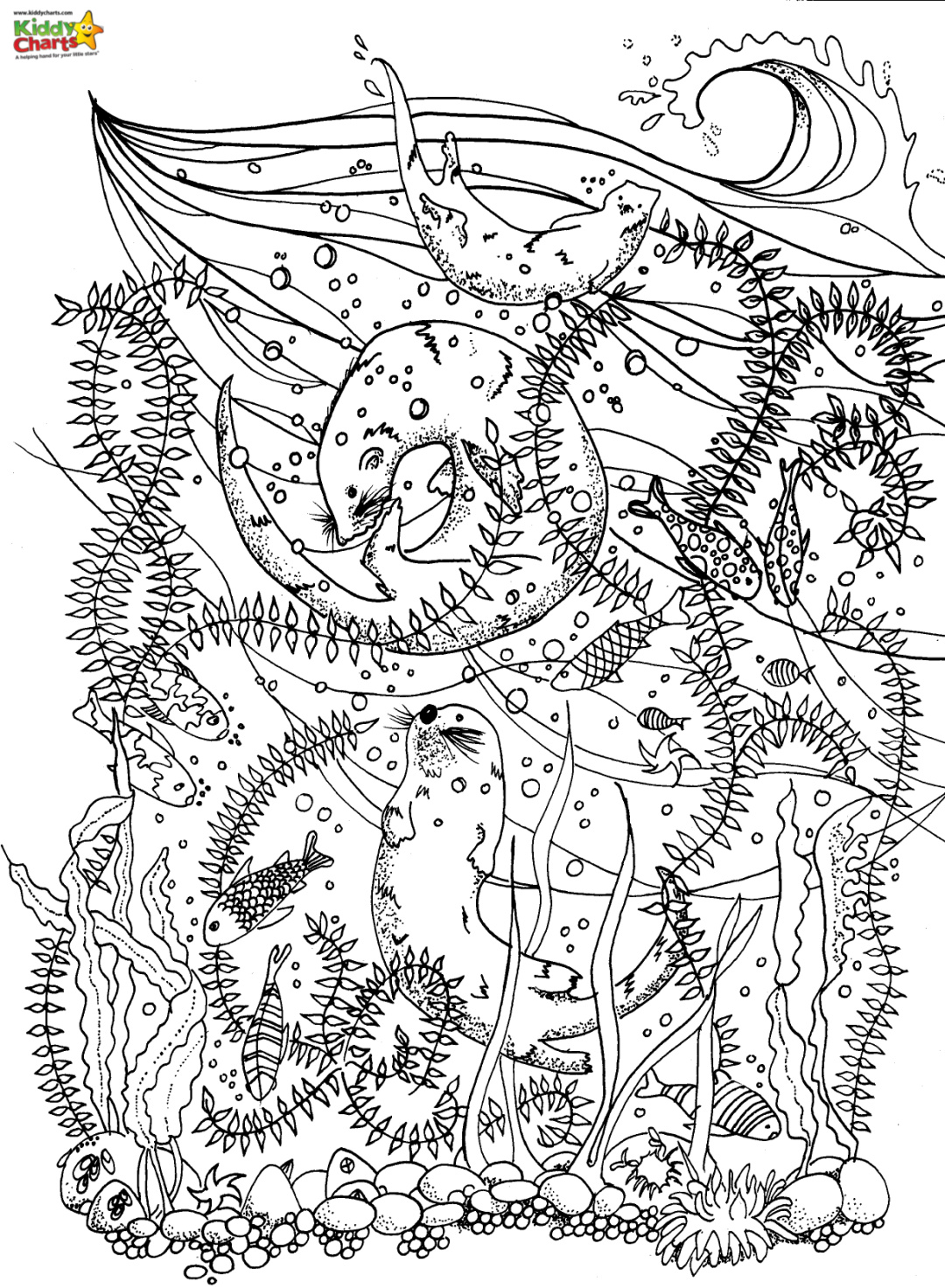 Sea dragon coloring page pictures to print