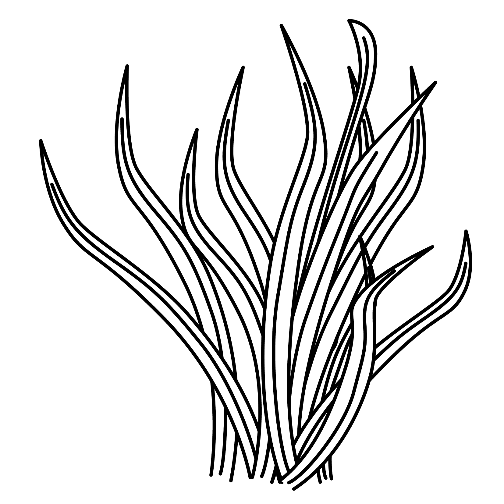 Sea grass clipart black and white