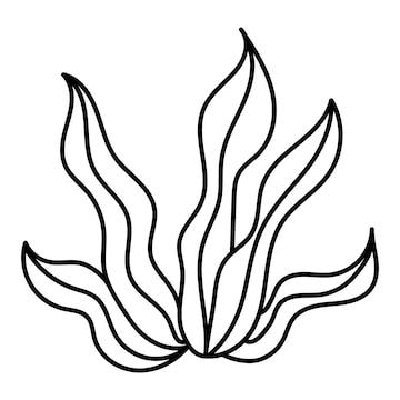 Premium vector cartoon sea objects with seaweed and coral outlined for coloring page isolated on white background