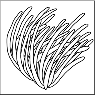 Clip art plants seagrass bw i
