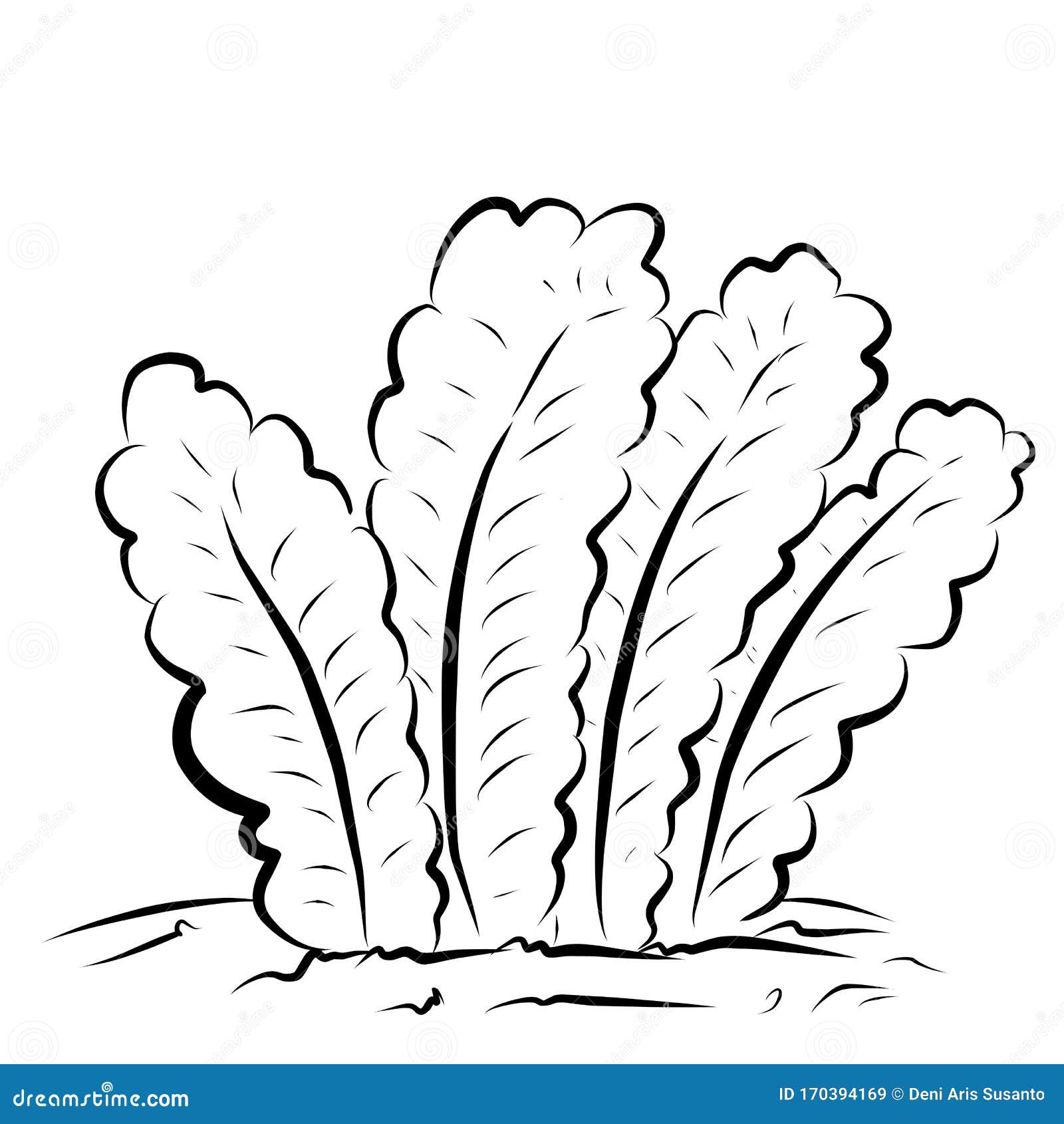 Grass coloring page for children stock vector