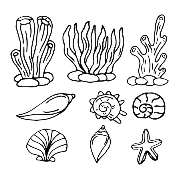 Premium vector seaweed set water grass freehand coloring book vector illustration isolated on white background