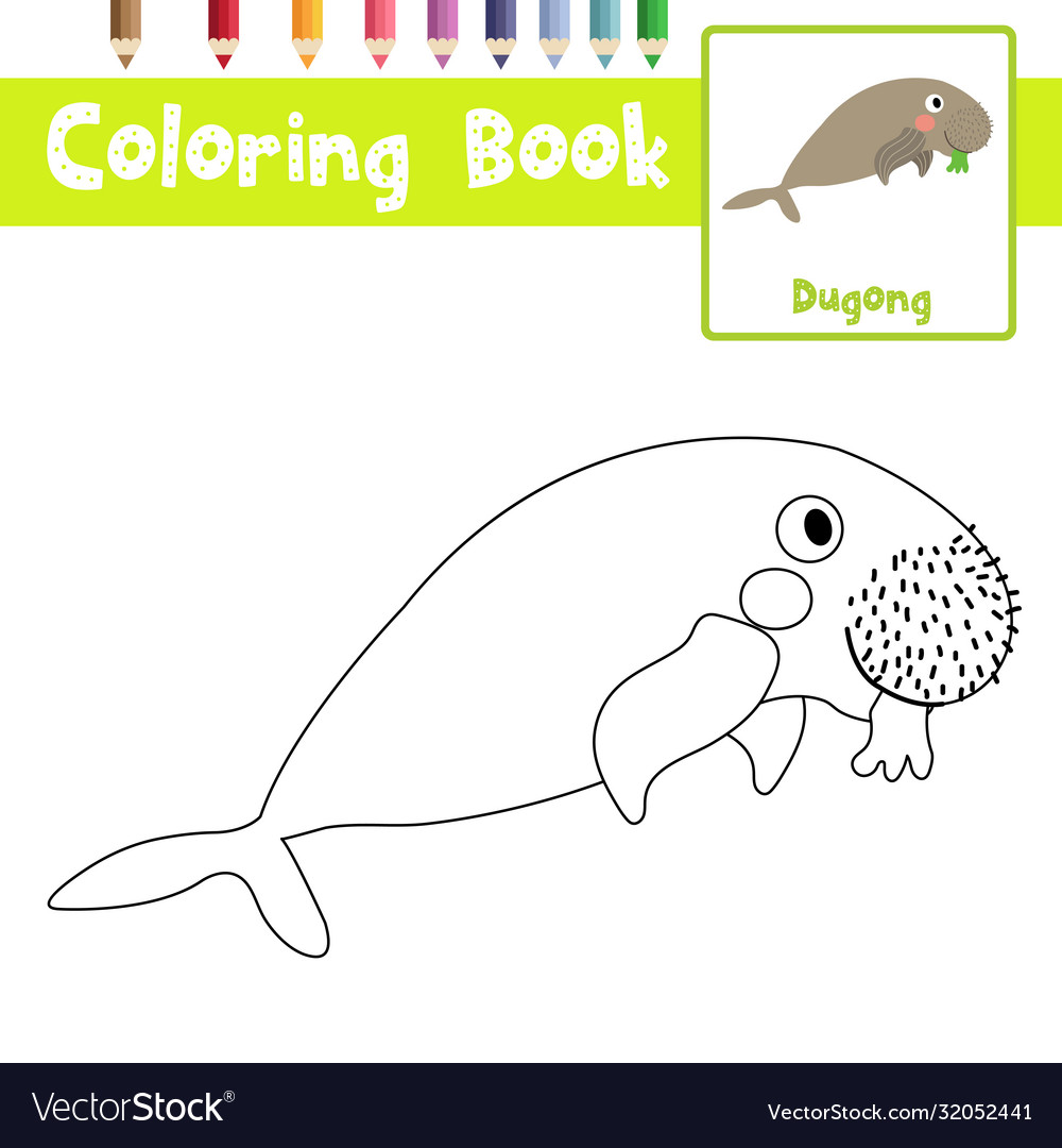 Coloring page dugong eating seagrass animal vector image