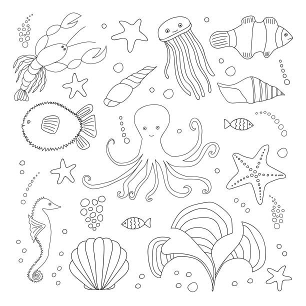 Seagrass drawing stock illustrations royalty