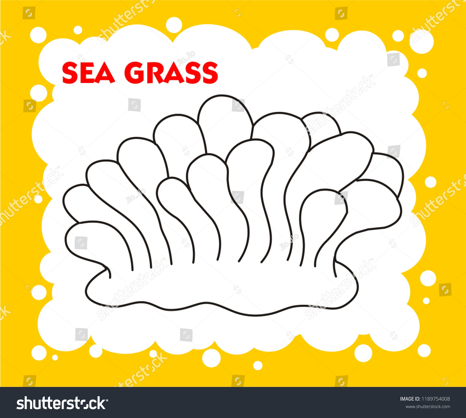 Sea grass drawing coloring page vector stock vector royalty free