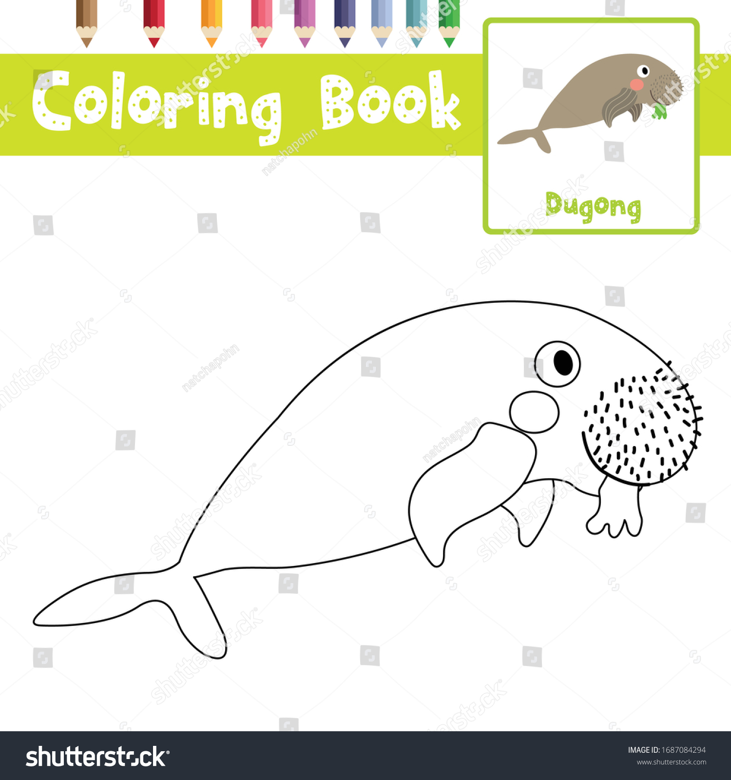 Coloring page dugong eating seagrass animals stock vector royalty free