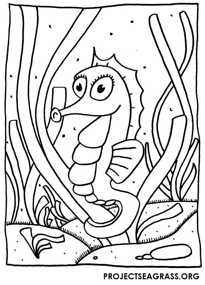 Project seagrass on x its internationalchildrensday so for younger seagrass enthusiasts why not try one of our colouring pages ð httpstcownkmmrj x