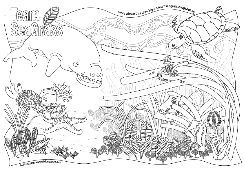 Colouring sheet for pesta ubin