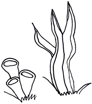 Ocean plants coloring pages sketch coloring page ocean plants coloring pages love coloring pages