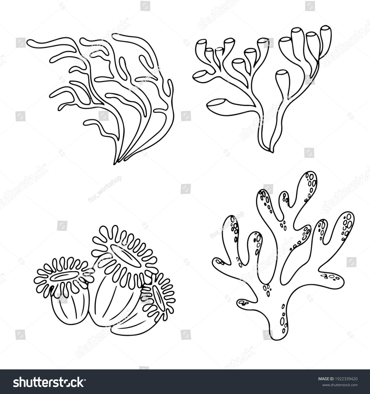 Seaweed set water grass freehand coloring stock vector royalty free