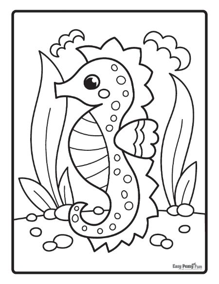 Printable seahorse coloring pages â sheets