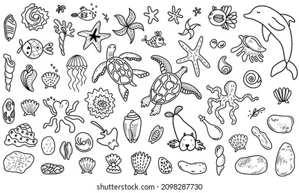 Coloring page sea animals underwater world stock vector royalty free