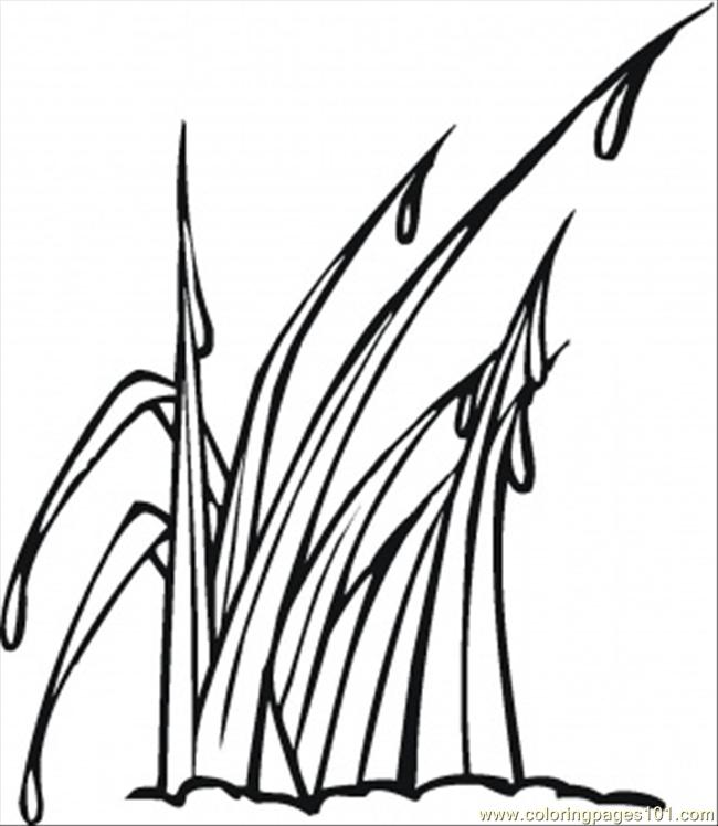 Seagrass coloring pages