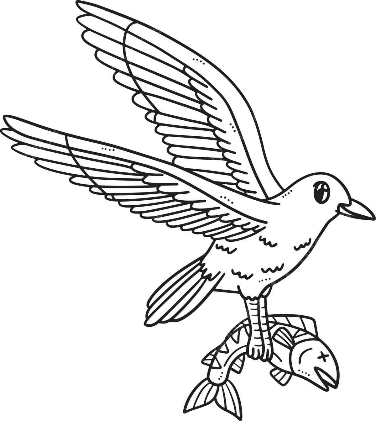 Sea gull catching fish isolated coloring page summer outline sea gull vector summer outline sea gull png and vector with transparent background for free download