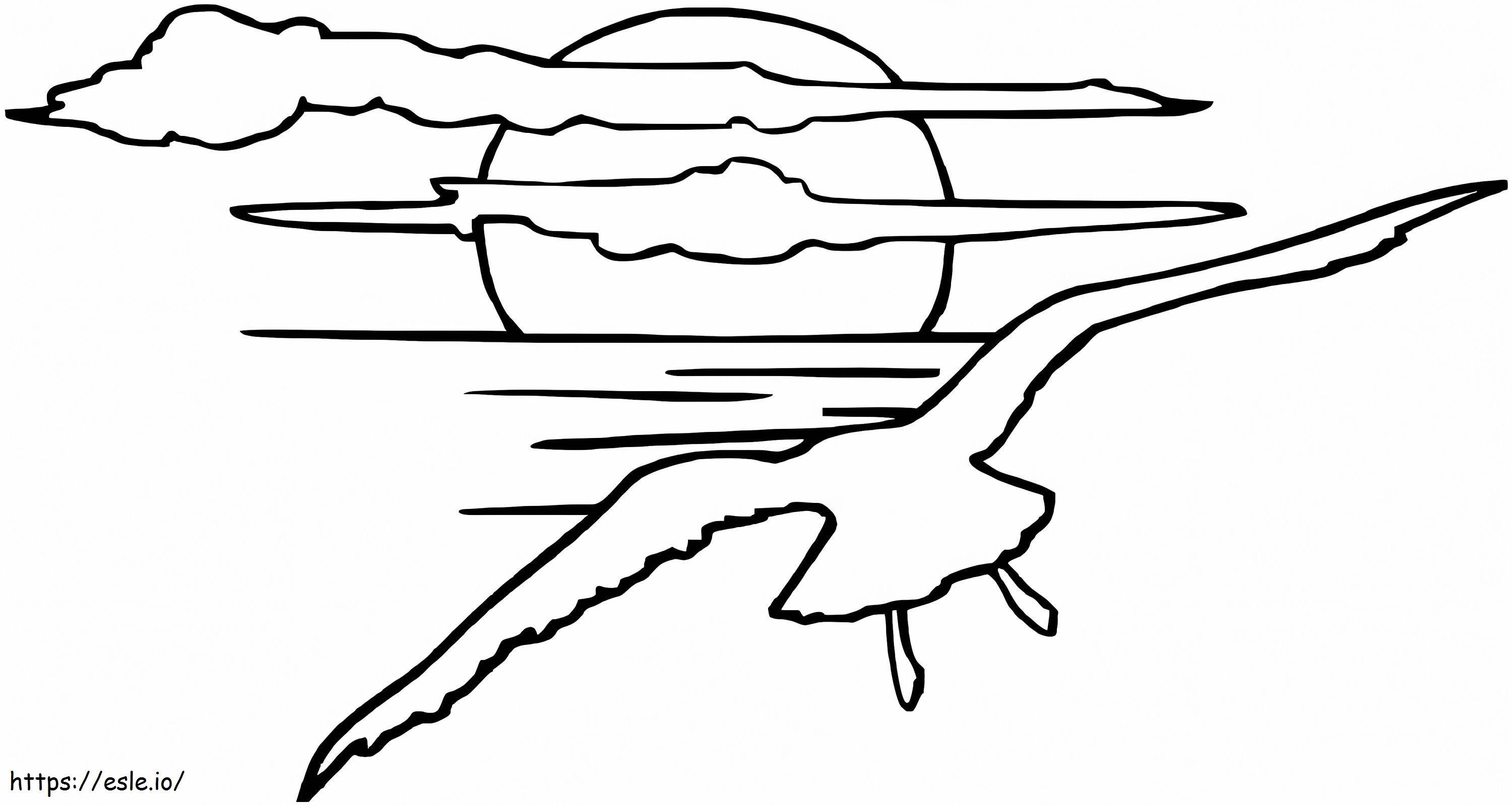 Seagull in the sunset coloring page