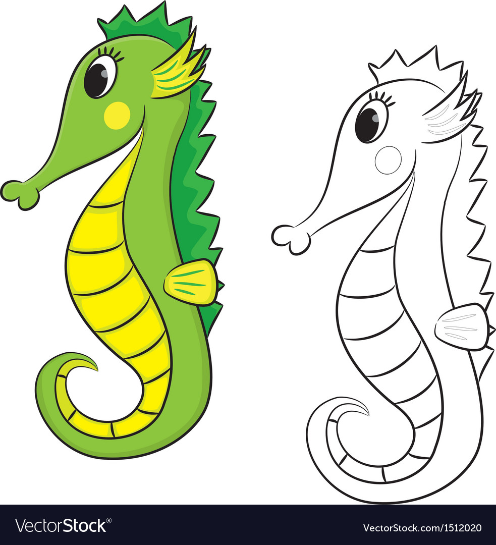 Sea horse coloring book royalty free vector image