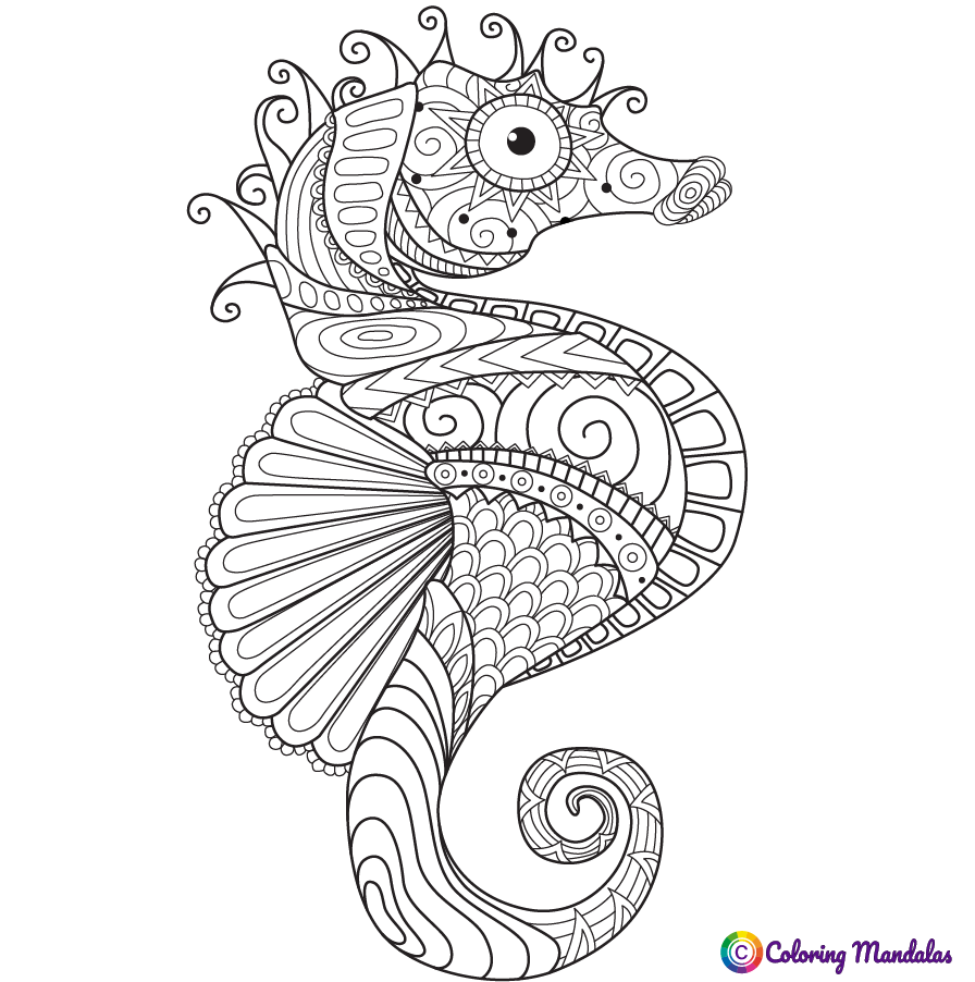 Sea horse