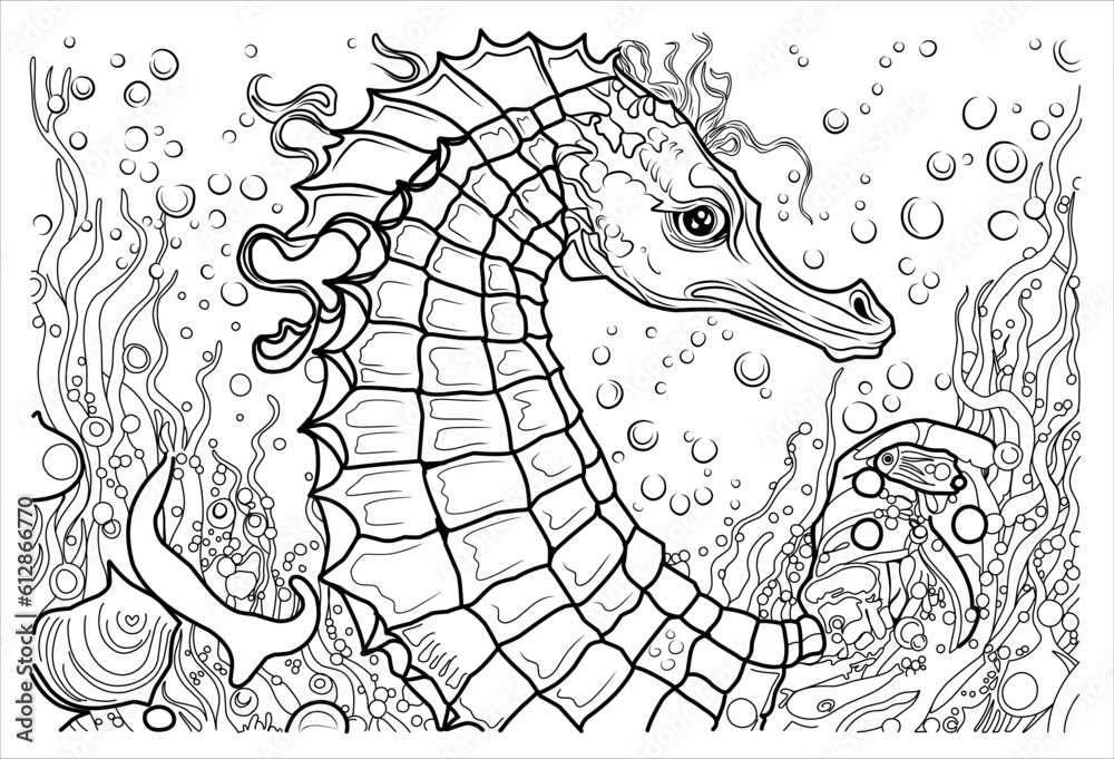 Deep sea horse coloring page cartoon seahorse portrait linear illustration for coloring book vector