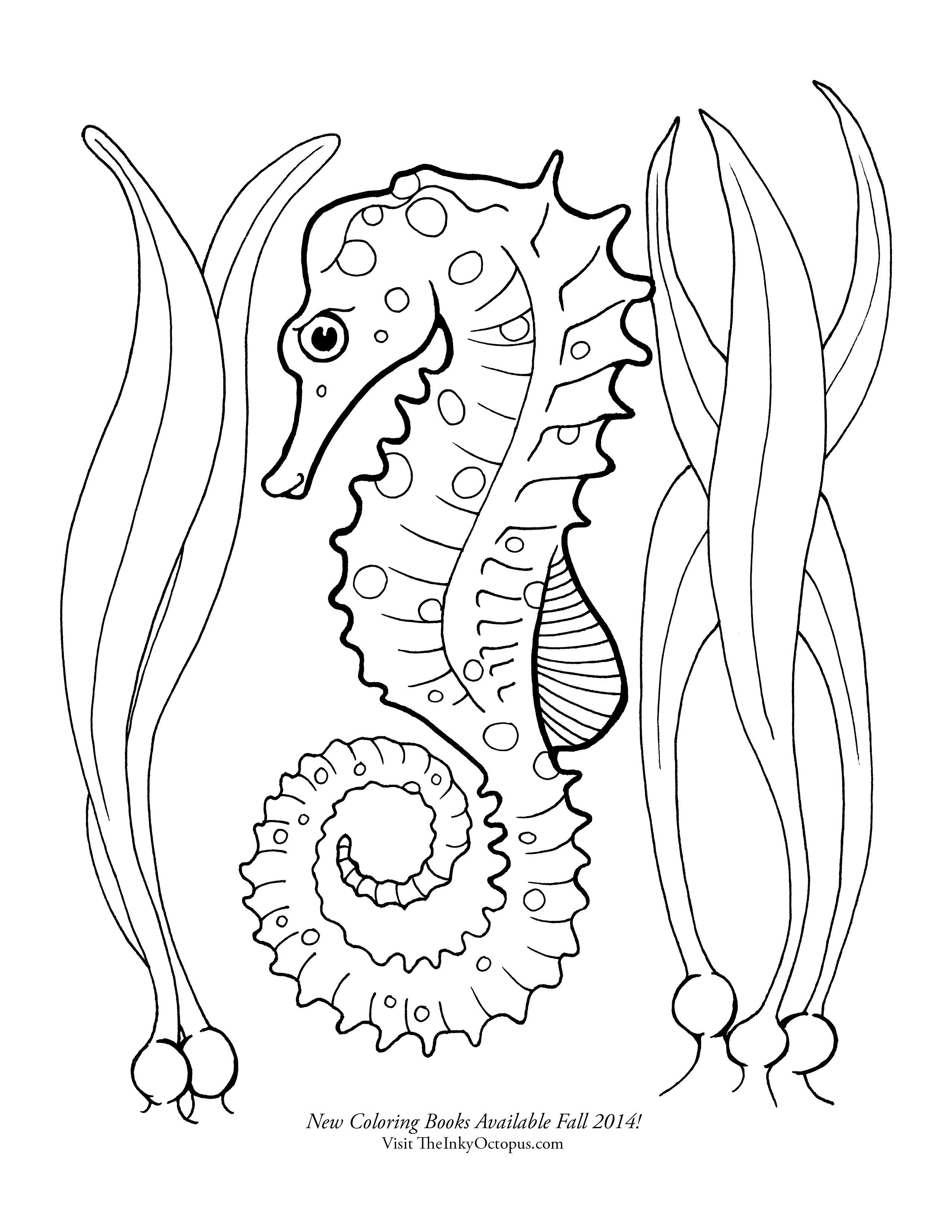 Seahorse coloring page