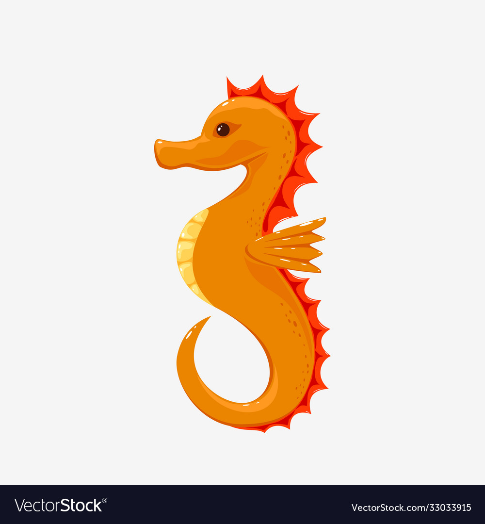 Seahorse on white background royalty free vector image