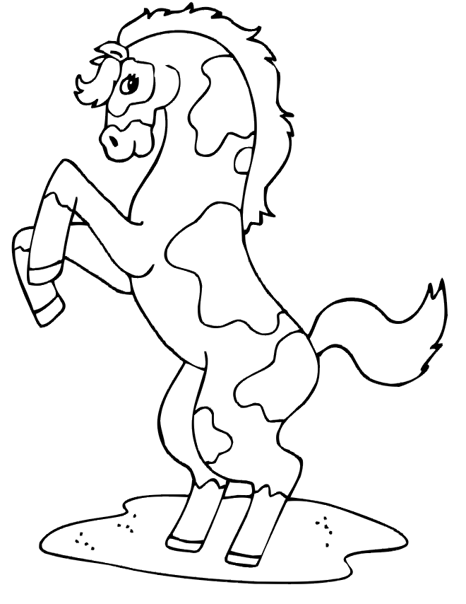 Horse coloring page spotted horse