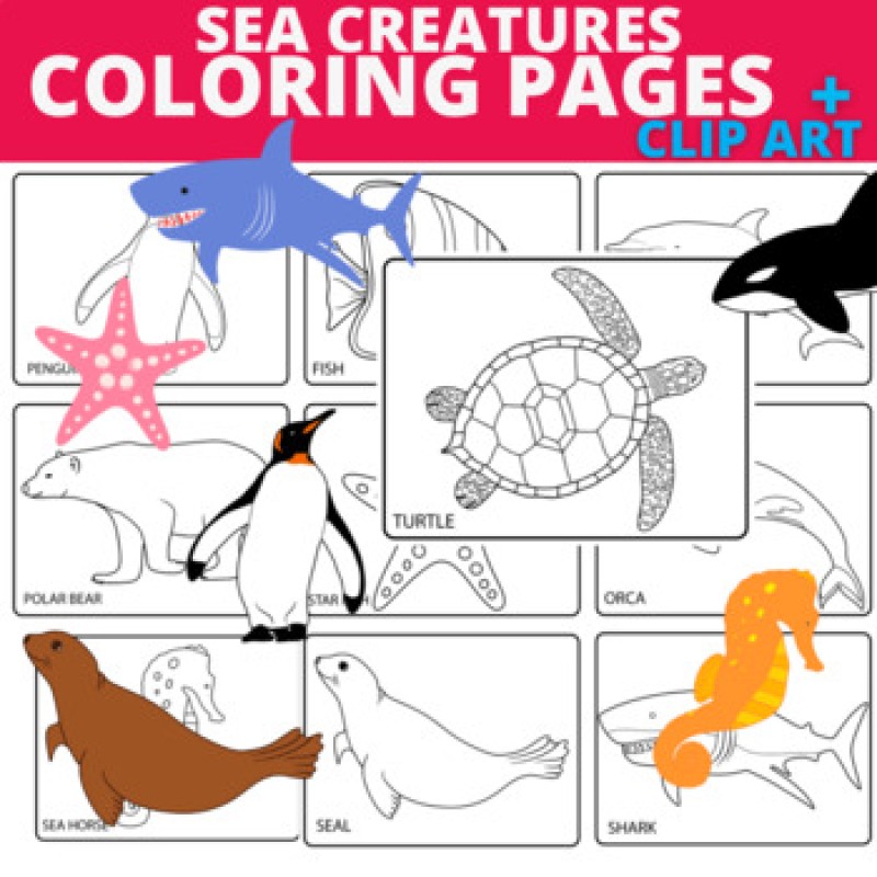 Ocean animals coloring pages clipart