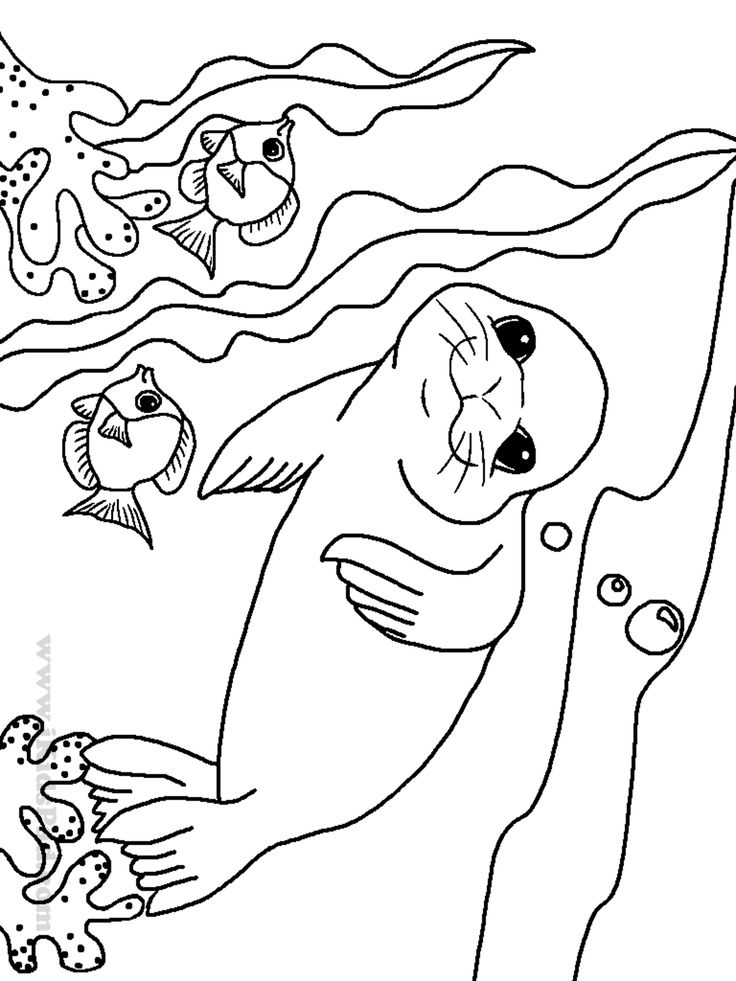 Sea creatures coloring pages fresh printable pictures of ocean animals huge gift free sea