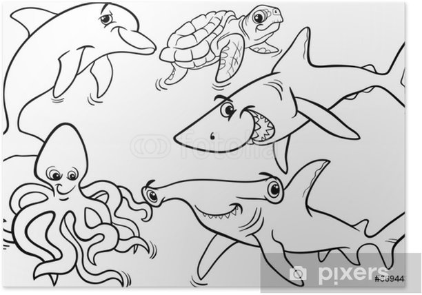Poster sea life animals and fish coloring page