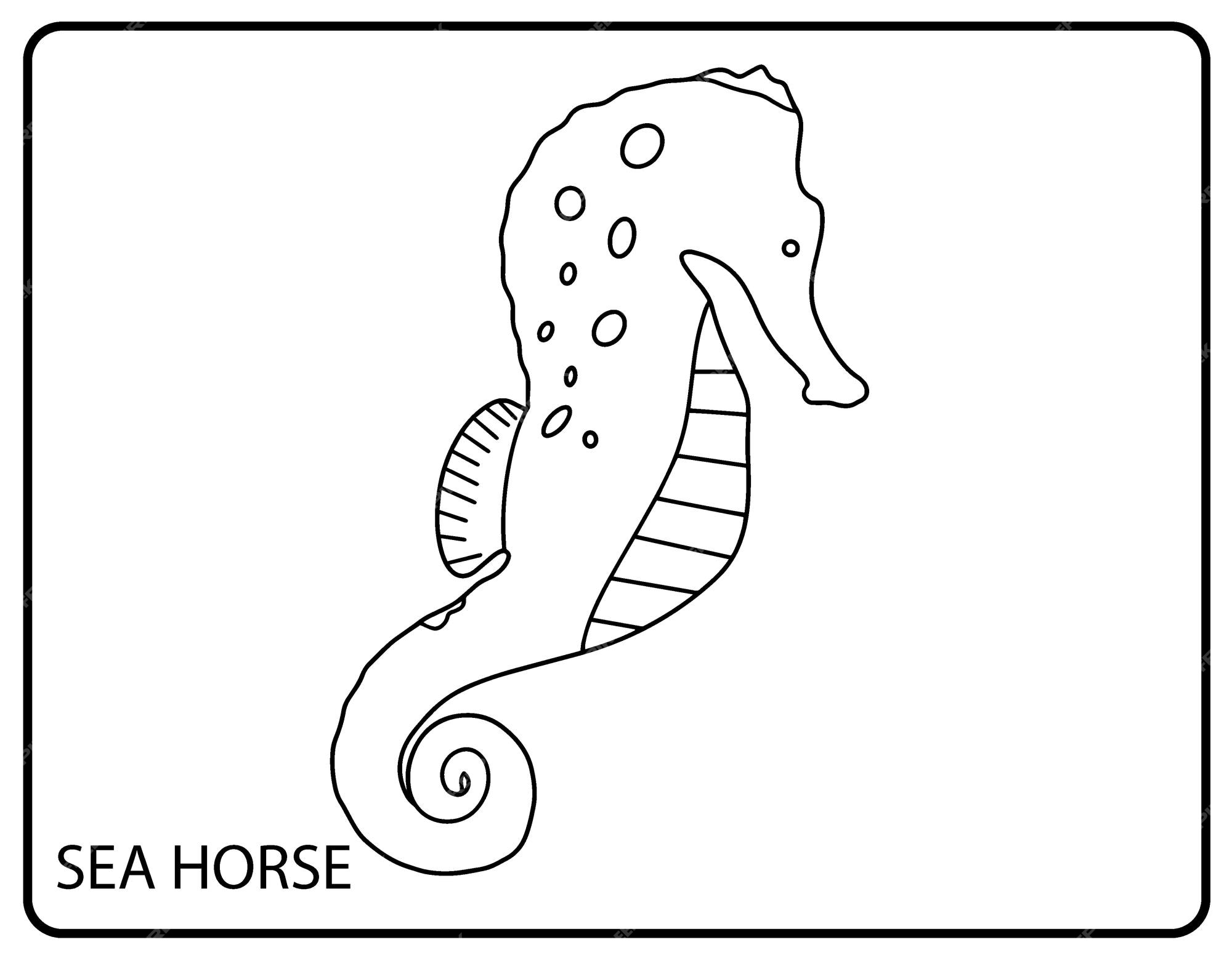 Premium vector ocean animals coloring the underwater world of animals sea and ocean life