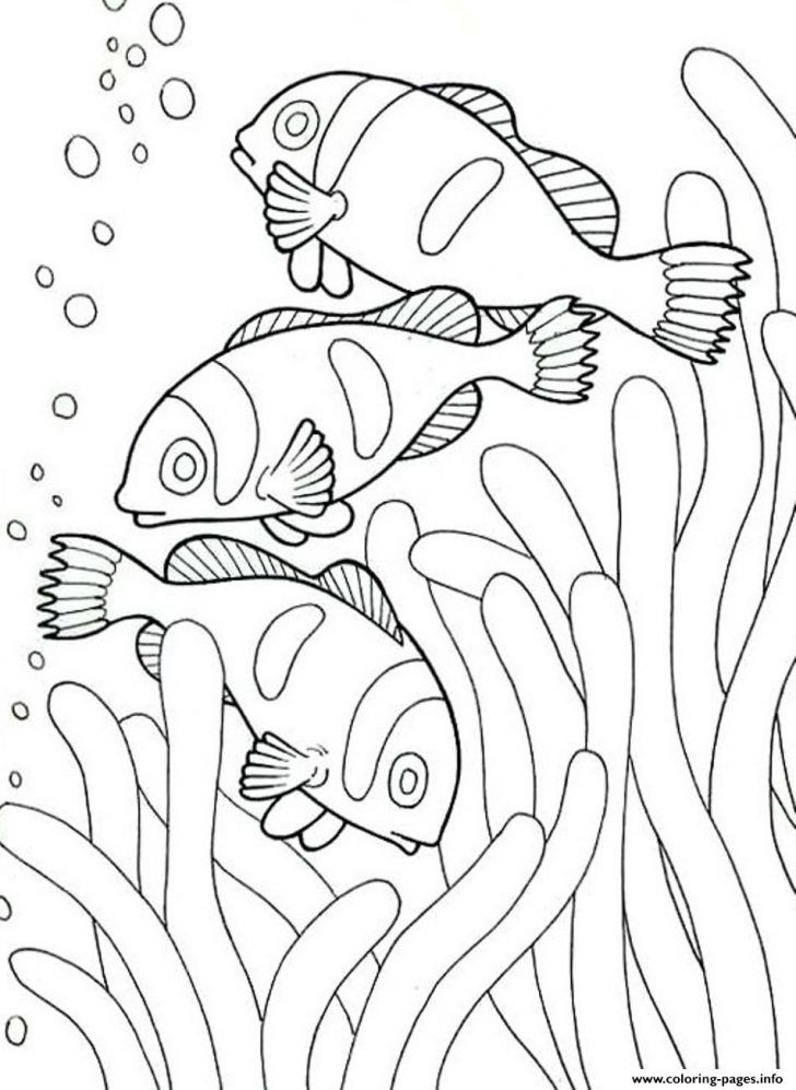 Discover the wonders of sea creatures with coloring pages
