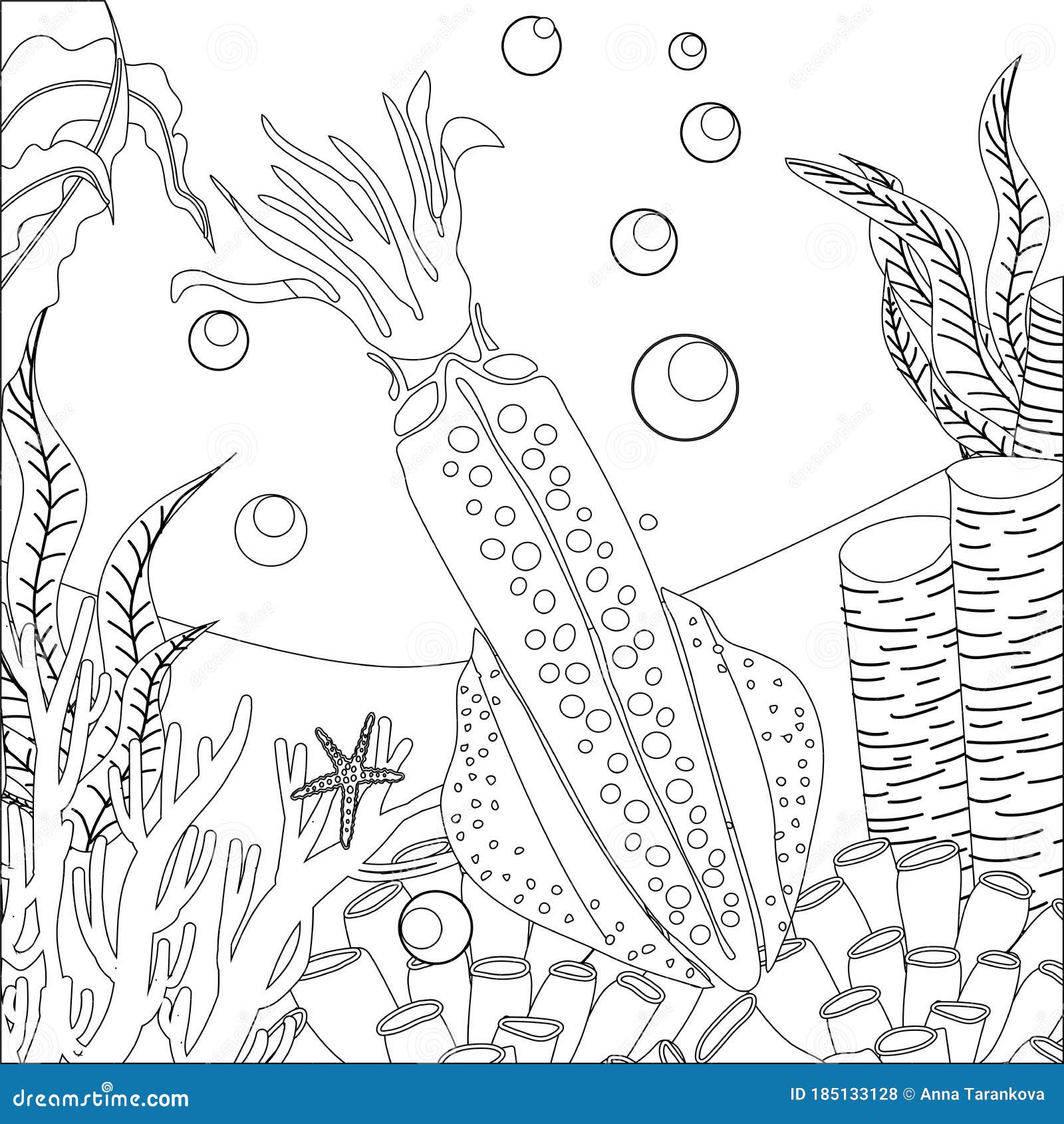 Squid cuttlefish octopus coloring page antistress coloring book for adults and children marine life stock vector