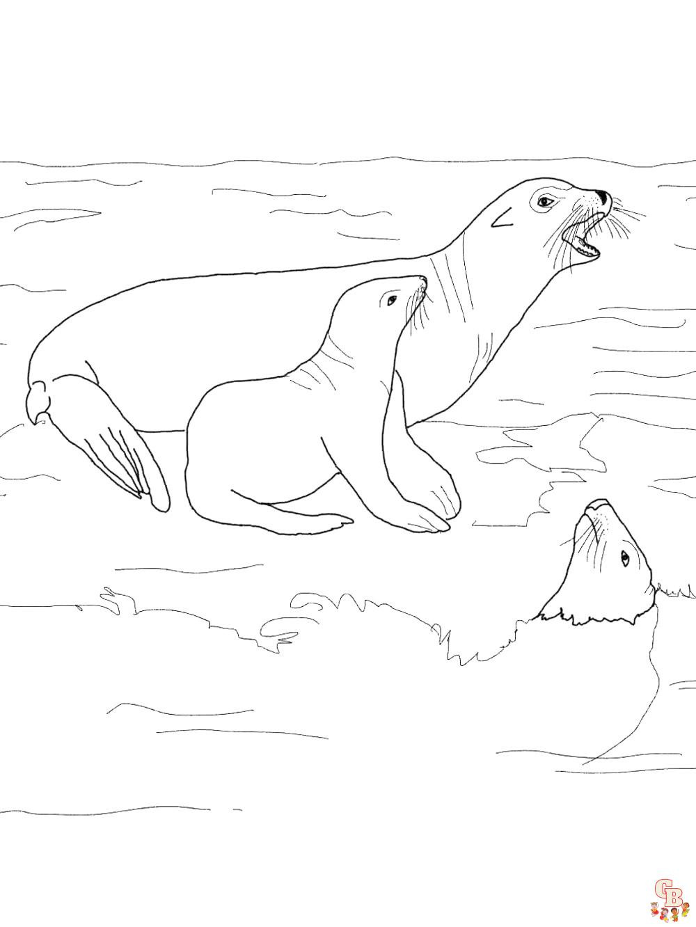 Enjoy free printable sea lion coloring pages