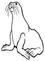 Seals and sea lion coloring pages and printable activities pinnipeds