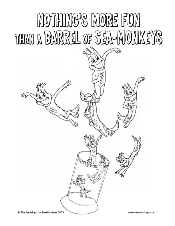Sea monkey coloring page