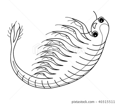 Sea monkey artemia character looking at camera