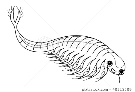 Sea monkey artemia character looking at camera