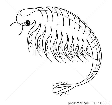 Sea monkey artemia character horizontal coloring