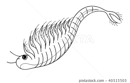 Sea monkey artemia character horizontal coloring