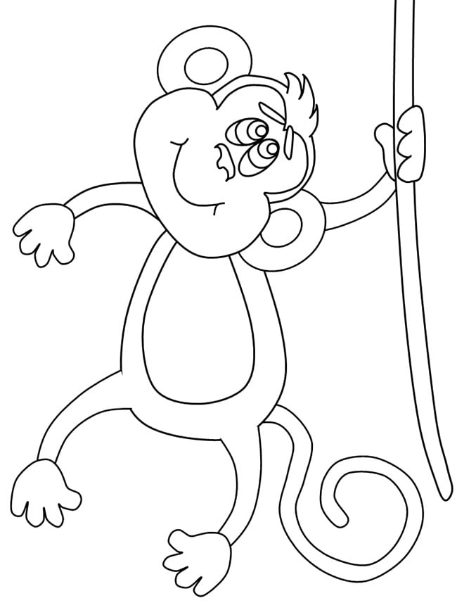 Monkey
