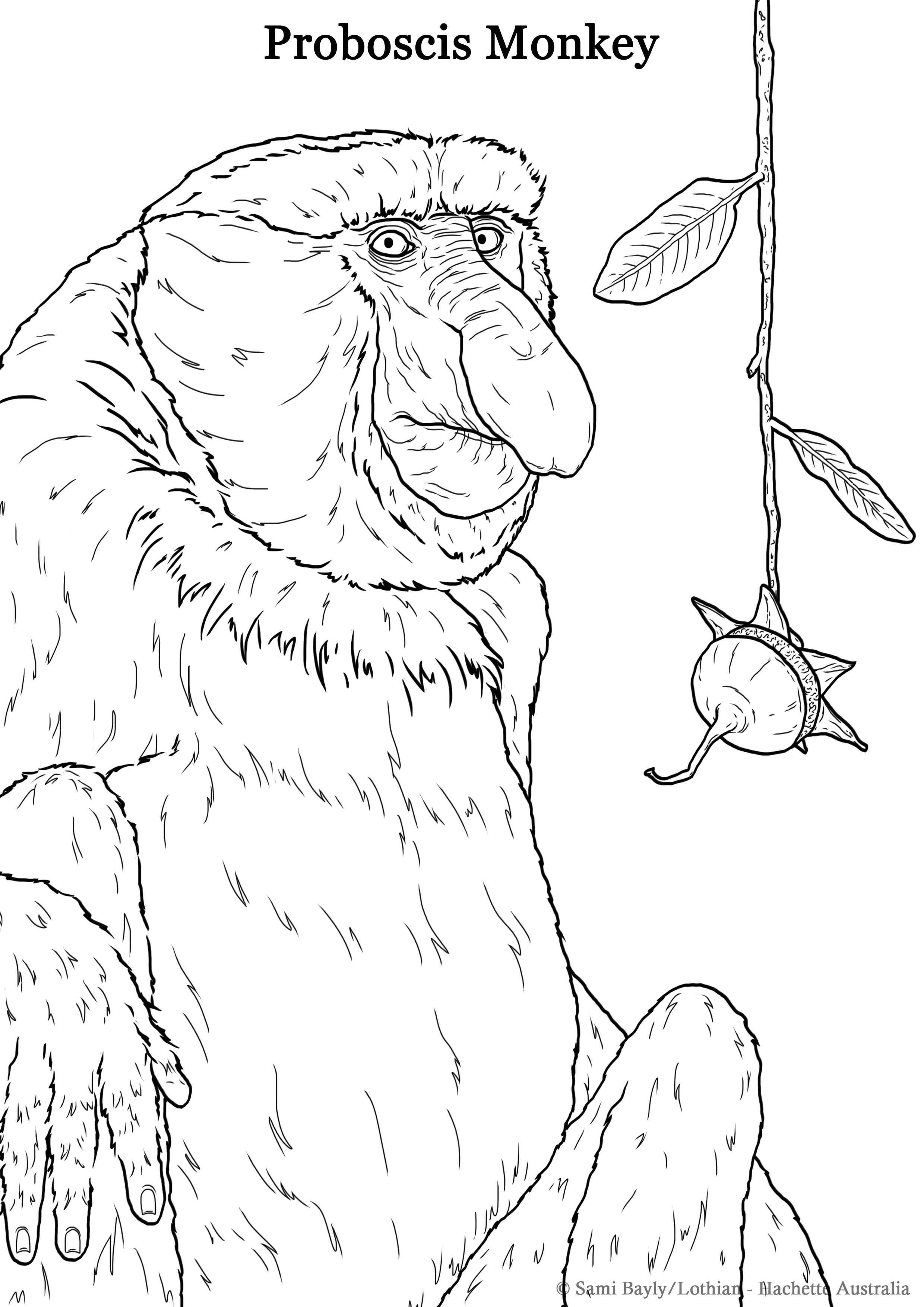 Colouring in pages â sami bayly