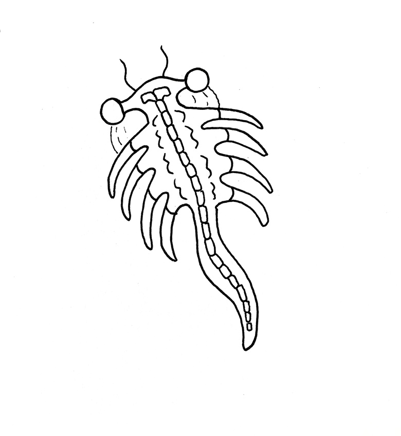 Cc printable colouring page