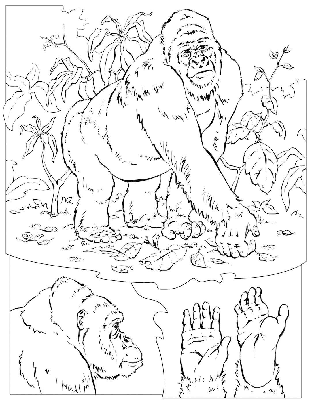 Coloring book animals j to z
