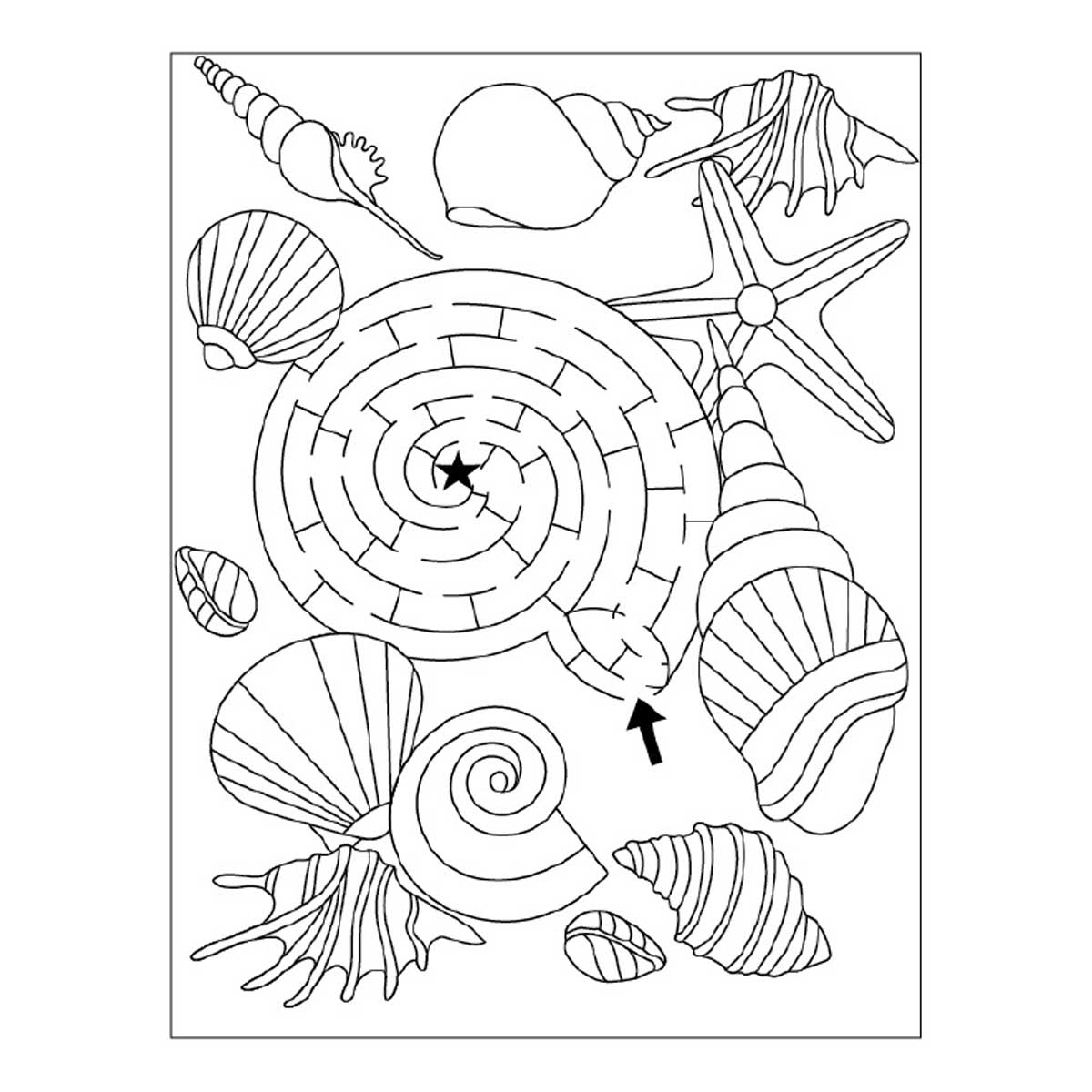 Nca custom kids activity book north carolina aquarium society